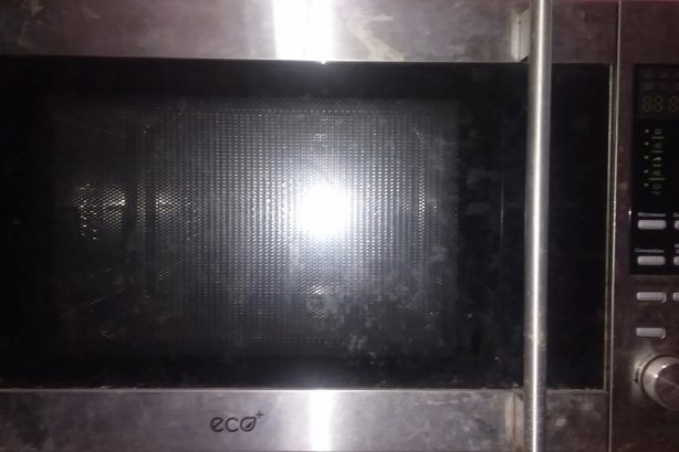 Eco+ Oven