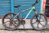 Phoenix Tornado bicycle